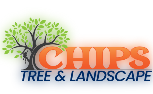 chip off the old block logo
